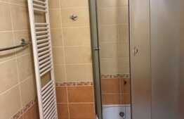 Apartament 2 camere decomandate, 60 mp, recent renovat, zona Donath