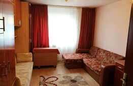 Garsoniera 21 mp, etaj intermediar, Bulevardul Muncii