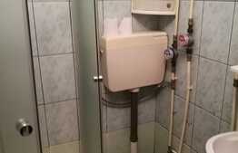 Garsoniera 21 mp, etaj intermediar, Bulevardul Muncii