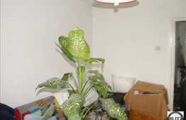 Vanzare 2 camere in zona Profi, mobilat si utilat