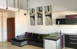 Apartament de lux cu scara interioara, 100mp, zona strazii Traian Mosoiu