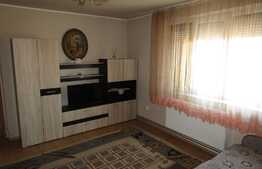 Apartament 2 camere, 50 mp, garaj, AC, zona strazii Paris