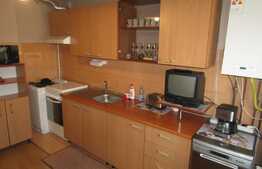 Apartament 2 camere, 50 mp, garaj, AC, zona strazii Paris