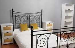 Apartament 1 camera, 40mp, Gheorgheni, zona Interservisan