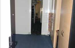 164 mp la 2 minute de Primarie