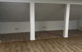 Oportunitate de investitie!Spatiu comercial 135 mp, preluare de chiriasi 