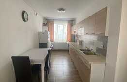 2 camere, 52 mp., posibilitate de spatiu comercial, zona Teilor