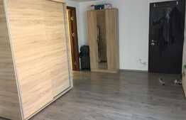 Doua apartamente la pachet, 90 mp, zona Europa!