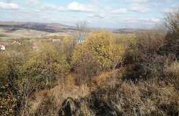 Oportunitate! Casa traditionala de vanzare DEUSU-CHINTENI