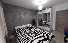 Apartament de lux, zona Cetatii