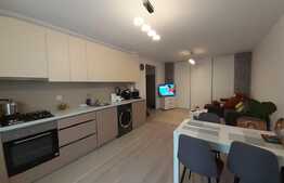 Apartament de lux, zona Cetatii