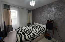 Apartament de lux, zona Cetatii