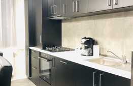 Apartament de lux, 2 camere, 59mp, terasa, parcare la subteran, Complex Luminia