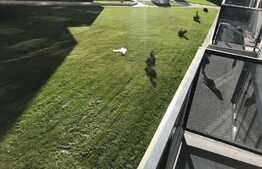 De vanzare apartament 2, camere,Tip STUDIO, bloc nou, zona strazii Paris