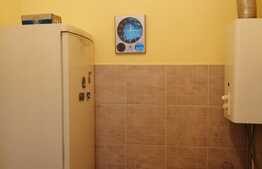 Casa centru Mihai Viteazu