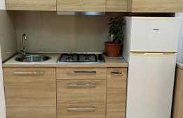 Apartament de lux 2 camere, zona P-ta Mihai Viteazu!