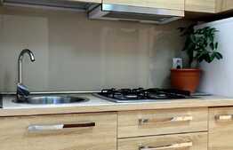 Apartament de lux 2 camere, zona P-ta Mihai Viteazu!