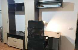 Apartament 1 camera 40 mp, balcon, Calea Turzii