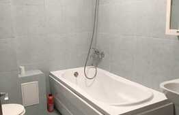 Apartament 1 camera 40 mp, balcon, Calea Turzii