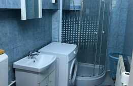 Apartament 4 camere, 78 mp, garaj, gradina, zona strazii Paris