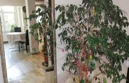 Apartament 3 camere, zona Florilor, mobilat si utilat modern!