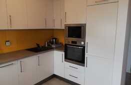 Apartament 2 camere, 40 mp, mobilat modern, petfriendly, parcare, zona strazii Traian