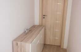 Apartament 2 camere, 40 mp, mobilat modern, petfriendly, parcare, zona strazii Traian