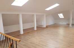 Casa individuala, 135 mp, ideala pentru birou, prima inchiriere!