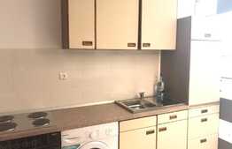 Garsoniera, 22 mp, zona strazii Grigore Alexandrescu