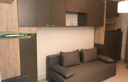 Garsoniera, 22 mp, zona strazii Grigore Alexandrescu