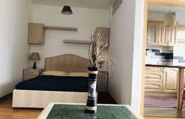 Garsoniera, 40 mp, mobilata modern, zona FSEGA