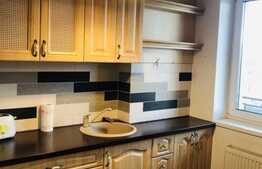 Garsoniera, 40 mp, mobilata modern, zona FSEGA