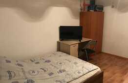 Garsoniera, 28 mp, zona strazii Grigore Alexandrescu