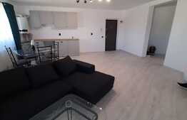 Apartament  2 camere, zona Tauti!