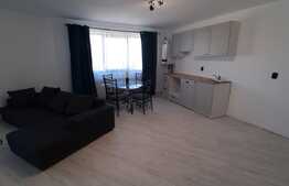 Apartament  2 camere, zona Tauti!