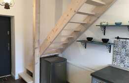 Apartament 2 camere, ultramodern, 2 nivele, zona USAMV