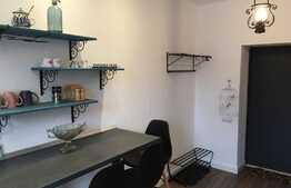 Apartament 2 camere, ultramodern, 2 nivele, zona USAMV