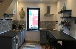 Apartament 2 camere, ultramodern, 2 nivele, zona USAMV