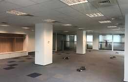 Office top class, 600 m2