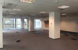Office top class, 600 m2