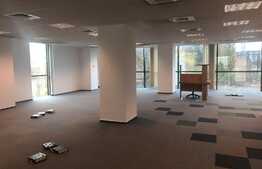 Office top class, 600 m2