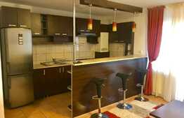 Apartament 2 camere, Pet Friendly, zona Eroilor!