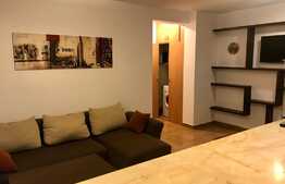 Apartament 2 camere, Pet Friendly, zona Eroilor!