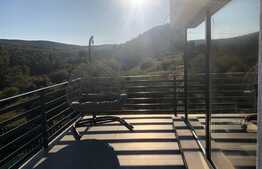 Casa individuala, ultrafinisata, mobilata lux intr-o locatie de vis, 700 mp teren