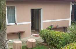 Doua case renovate la pret de un apartament, 90 mp utili, 306 mp teren