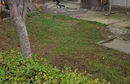 Doua case renovate la pret de un apartament, 90 mp utili, 306 mp teren