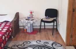 Doua case renovate la pret de un apartament, 90 mp utili, 306 mp teren