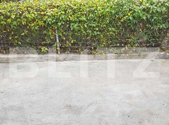 Casa de vânzare 3 camere Dambul Rotund - 46588CV | BLITZ Cluj-Napoca | Poza6