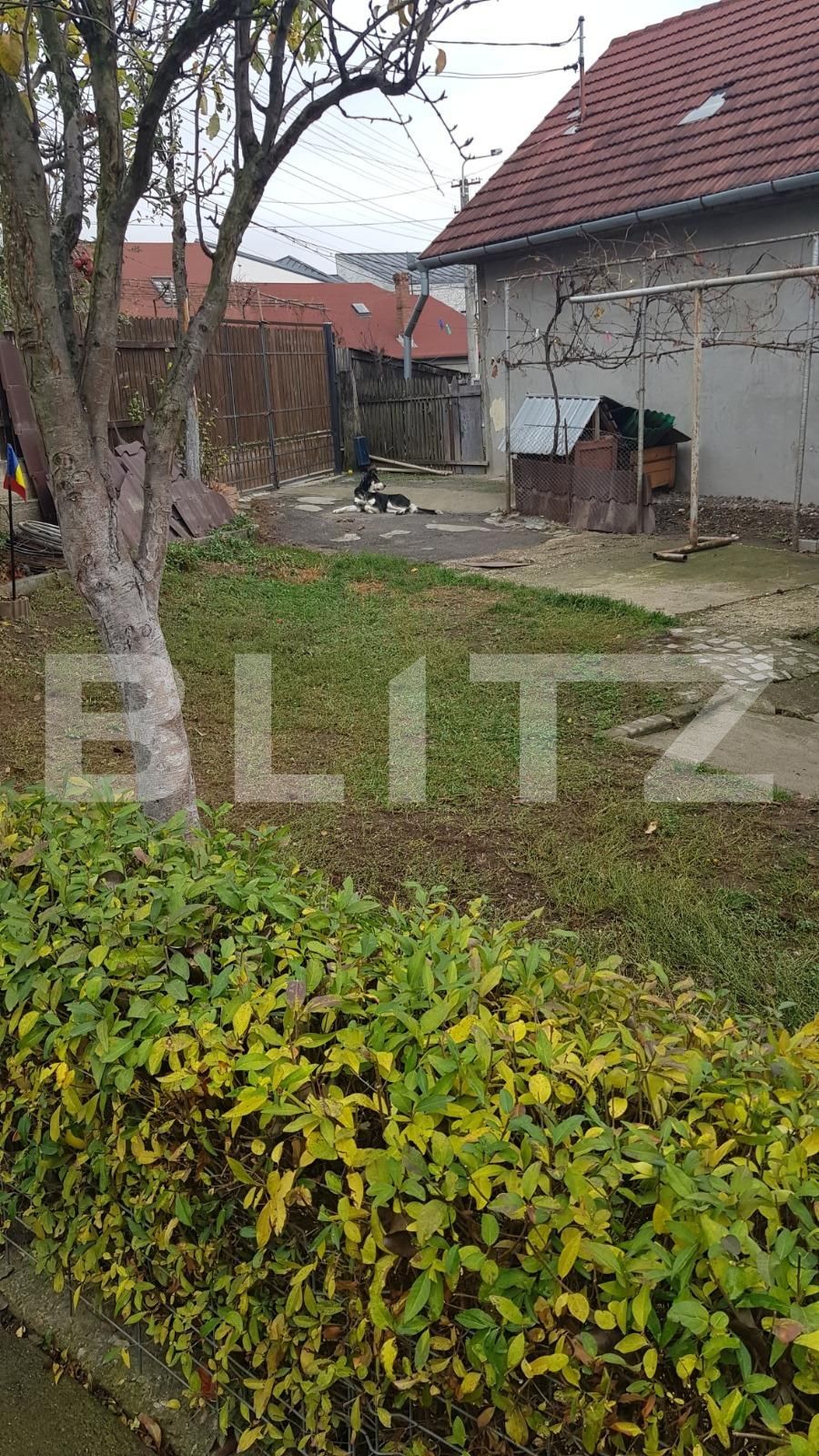 Casa de vânzare 3 camere Dambul Rotund - 46588CV | BLITZ Cluj-Napoca | Poza5