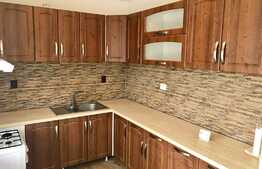 Apartament 3 camere, pet friendly, zona Teilor!